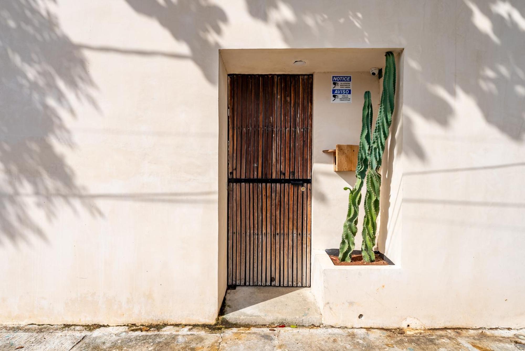 Casa Jicama Apartment Cancún Exterior foto